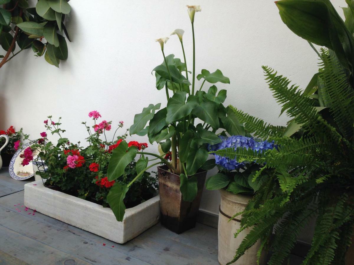 Patio San Lorenzo قرطبة المظهر الخارجي الصورة