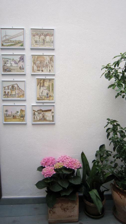 Patio San Lorenzo قرطبة المظهر الخارجي الصورة