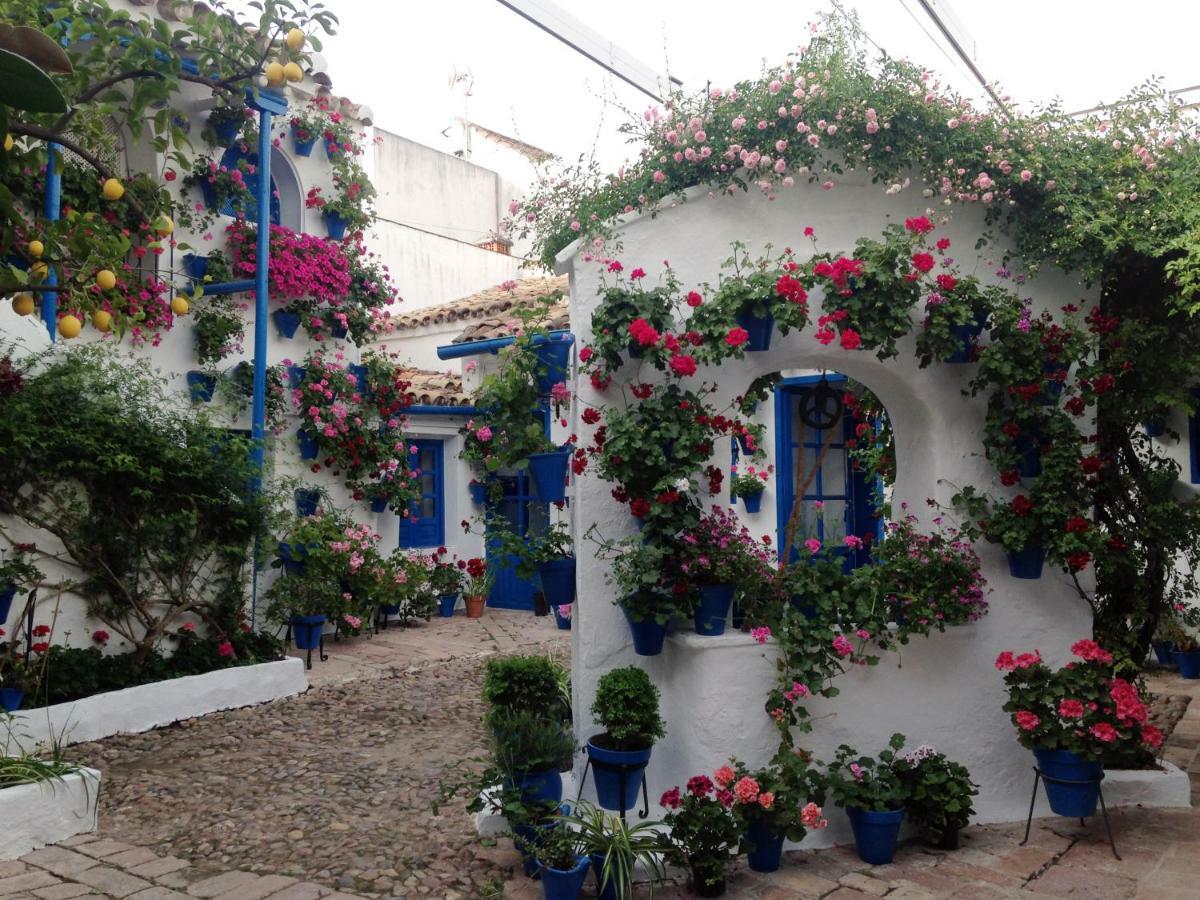 Patio San Lorenzo قرطبة المظهر الخارجي الصورة