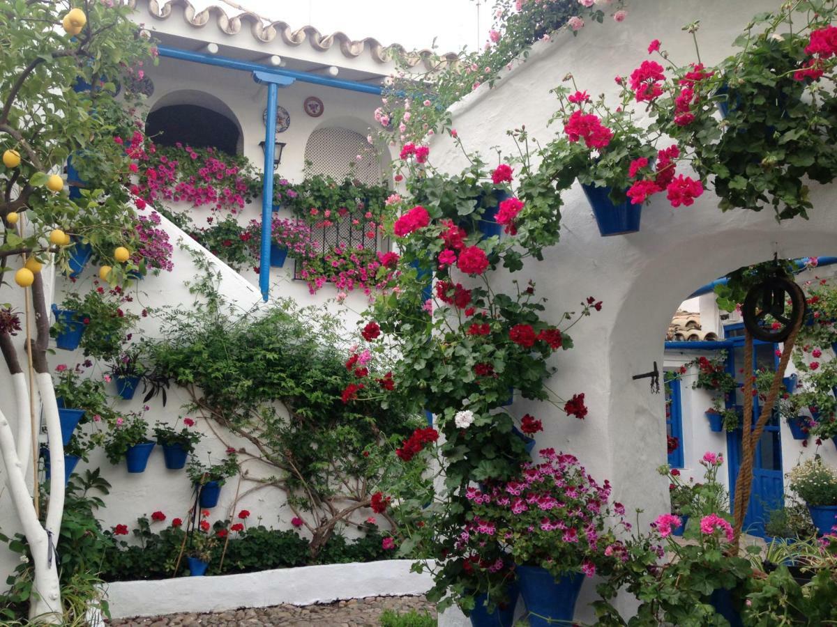 Patio San Lorenzo قرطبة المظهر الخارجي الصورة