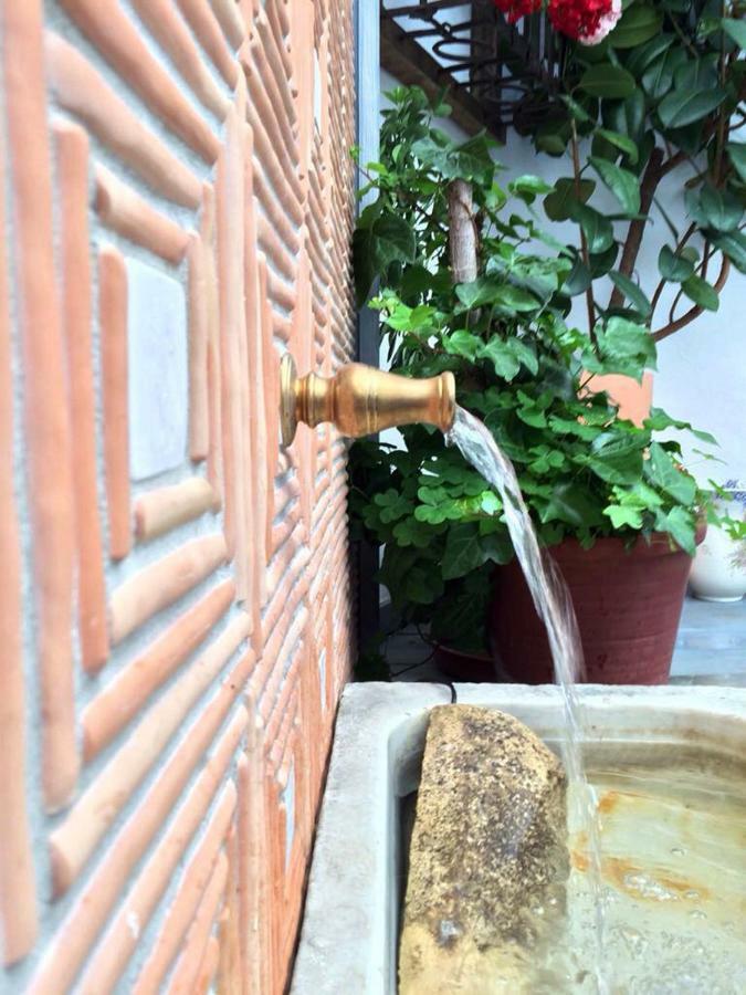 Patio San Lorenzo قرطبة المظهر الخارجي الصورة